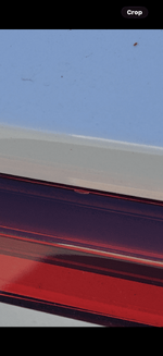 IMG_0156.png