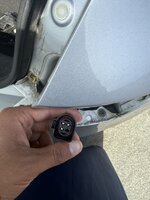 IMG_4311.jpeg