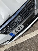 SEAT Leon FR grill.jpeg