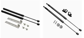 gas struts.jpg