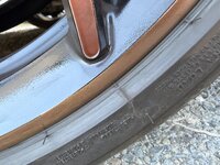 IMG_9173.jpeg