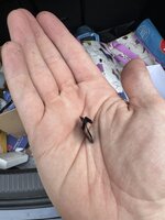 Bent Boot Clip.jpeg