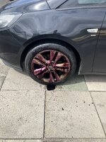 IMG_2276.jpeg