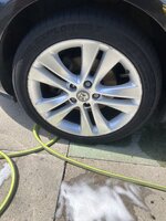 IMG_2281.jpeg