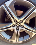 IMG_7953.jpeg