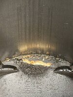 IMG_1484.jpeg