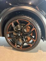 IMG_3139.jpeg