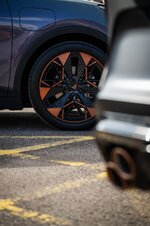 WES_9741-2.jpg