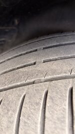 IMG_3820.jpeg