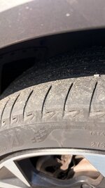 IMG_3649.jpeg