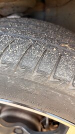 IMG_3648.jpeg