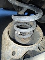 IMG_3788.jpeg