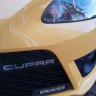 Daz cupra r