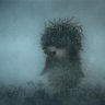 hedgehog_from_the_fog