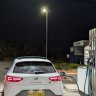 alfscupra