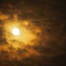 Mosquito_77