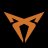 Grey Fox