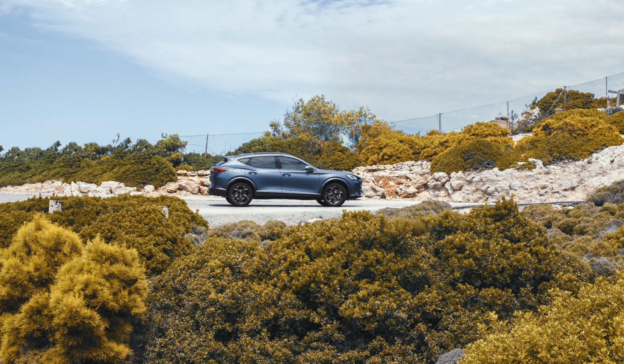 CUPRA-Formentor-Dynamic_29_HQ.jpg