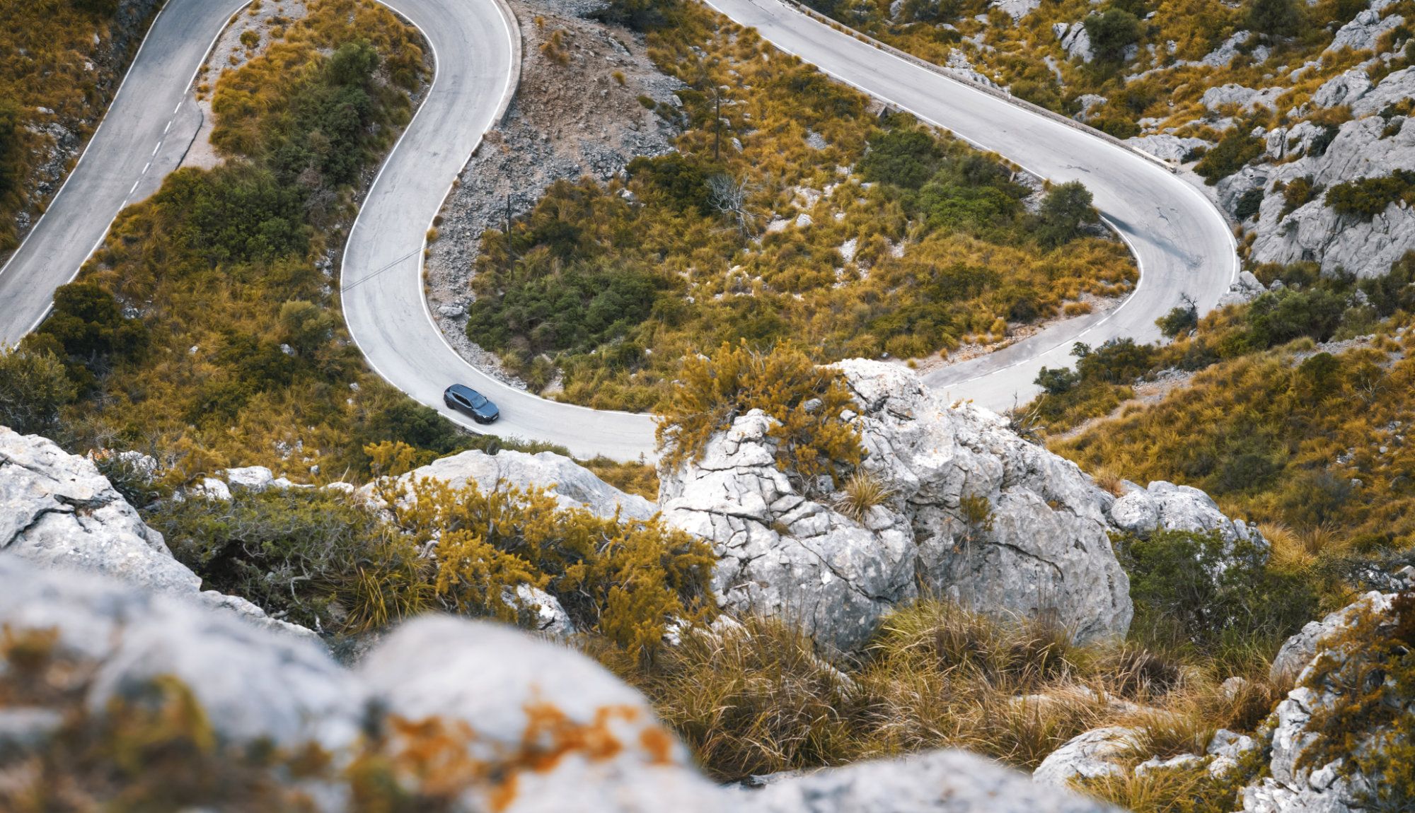 CUPRA-Formentor-Dynamic_55_HQ.jpg