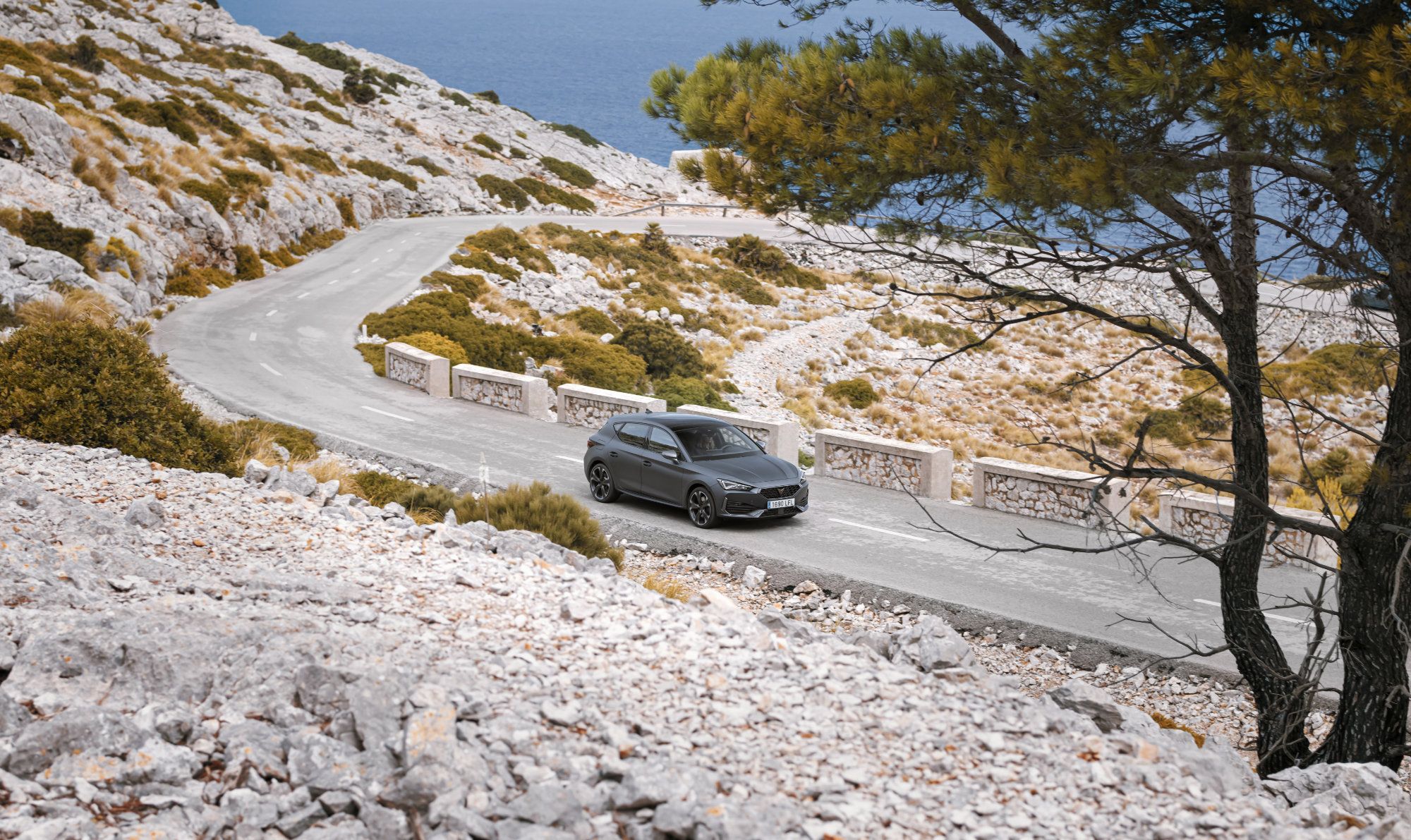 CUPRA-Leon_32_HQ.jpg
